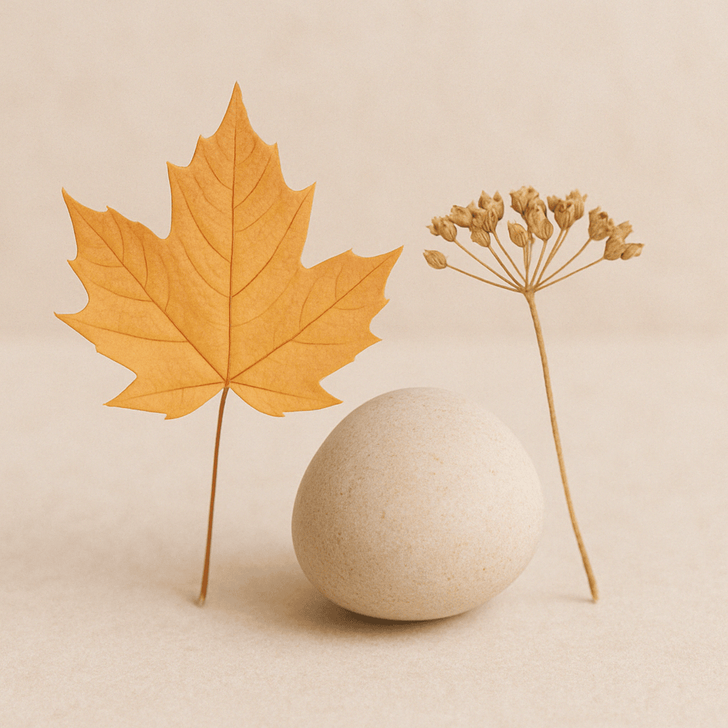 Metformin Anti-Aging Therapy